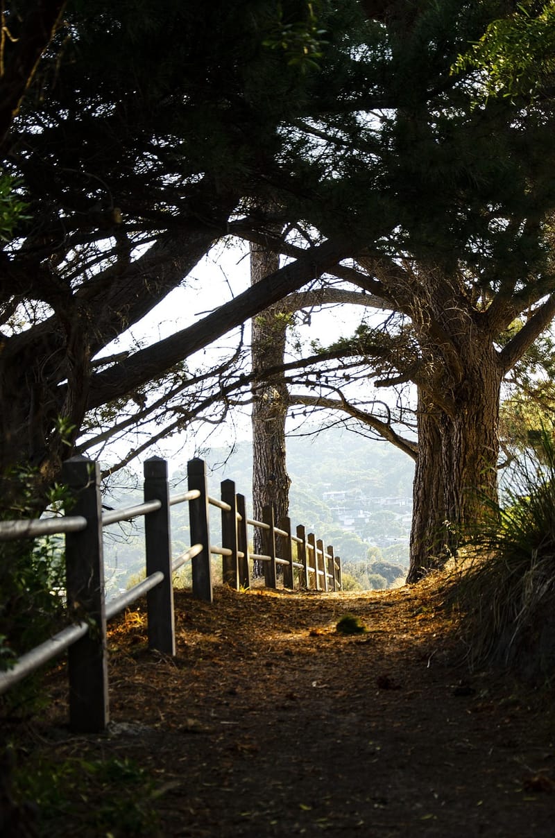 Escape the City: Top 10 Weekend getaways from Melbourne