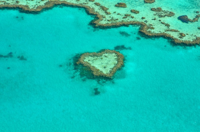 66 exciting & not so common activities to do in Australia this Valentine's day 