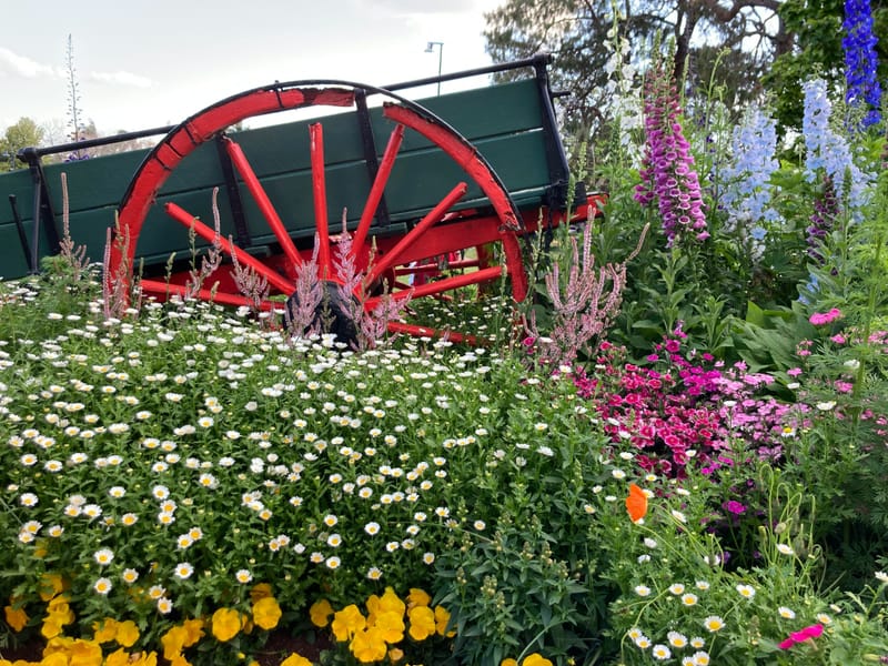 Toowoomba Escapade: Discover the Top Attractions & Road Trip Tips from Brisbane