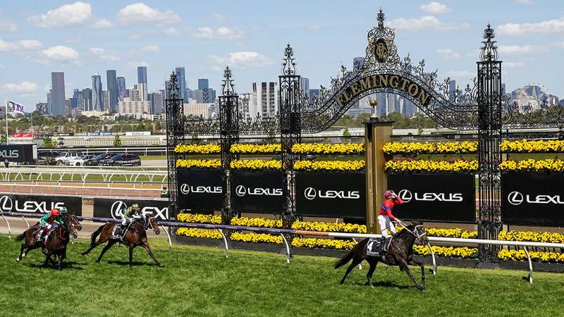 Melbourne Cup 2022: \nAll You Need To Know & All You Can Explore