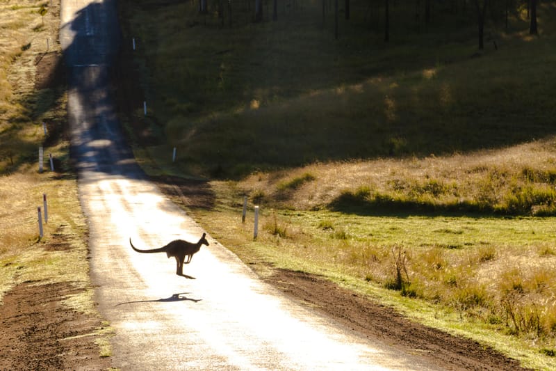 Road Sign Know-How: Navigating Australia's Highways with Ease 