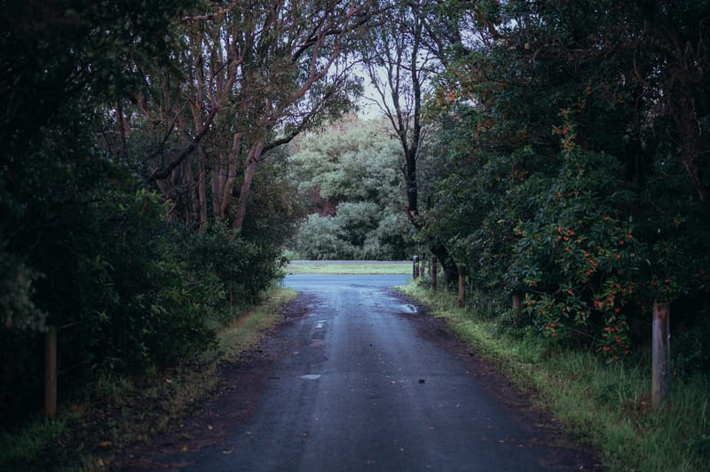 Sydney to the South Coast: The Ultimate Road Trip Adventure