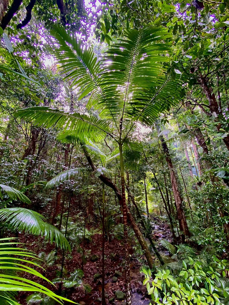 Queensland Awaits: Top Summer Destinations for Your Next Getaway