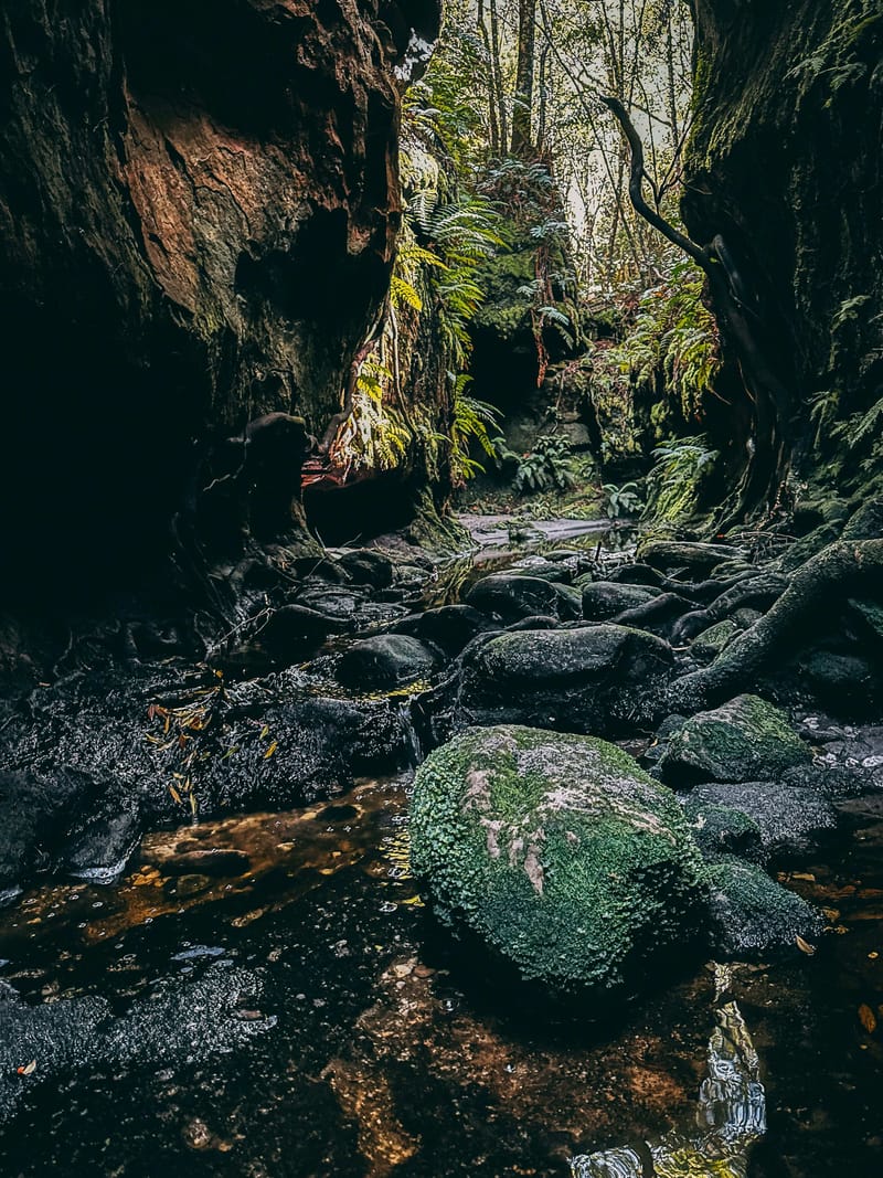 Discover NSW: Instagrammable Towns for Your Next Road Trip