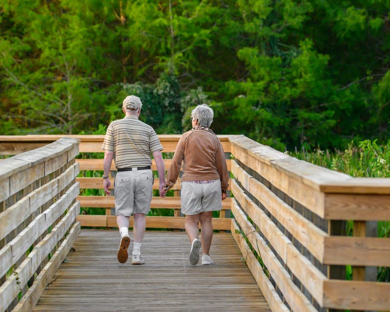 Empowering Seniors: The Role of Car Sharing in Enhancing Mobility Across Australia