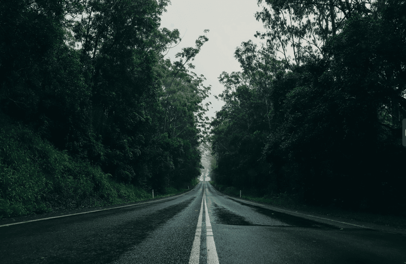 Explore Queensland: Top Road Trips from Brisbane You Can't Miss