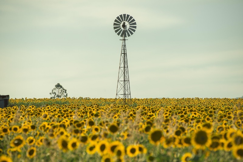 The Best Podcasts For Your Next Road Trip