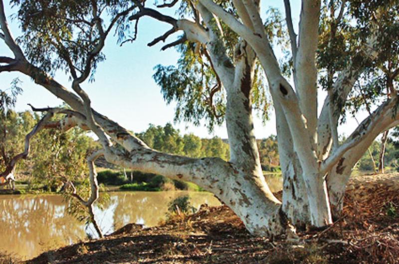 Discover Australia's Off-the-Beaten-Path Gems: A Road Trip Adventure