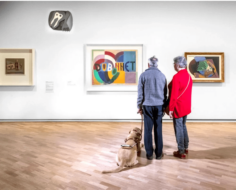 Top Free Things to Do in Canberra on a Budget