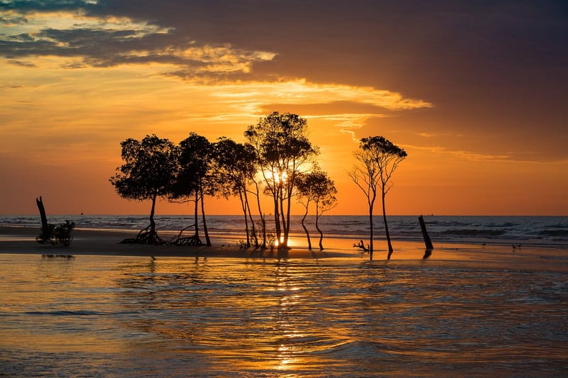 Exploring South Australia's Outback: Unforgettable Adventures Await