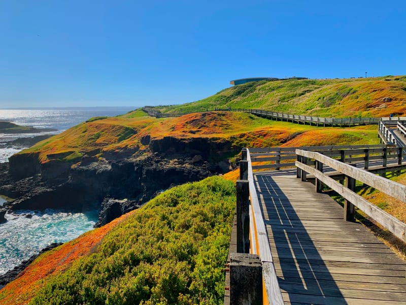 8 Incredible Road Trips Near Melbourne: Perfect Getaways for Locals