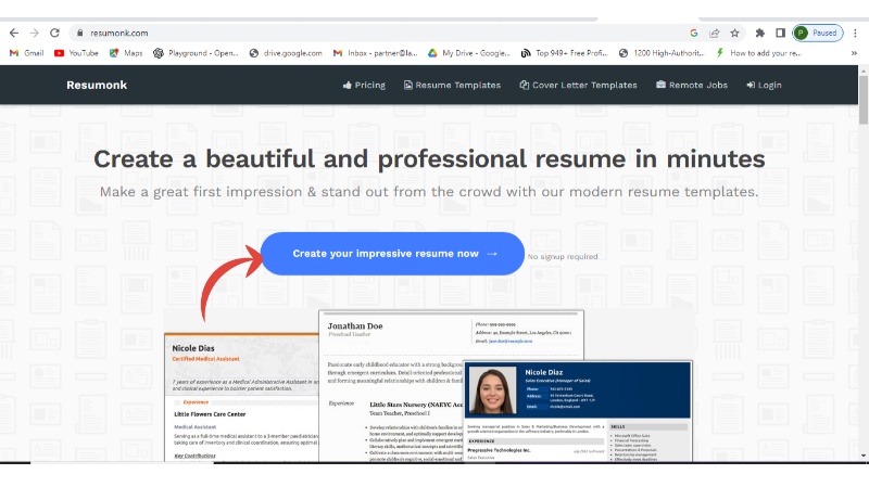 Resumonk Review 2024