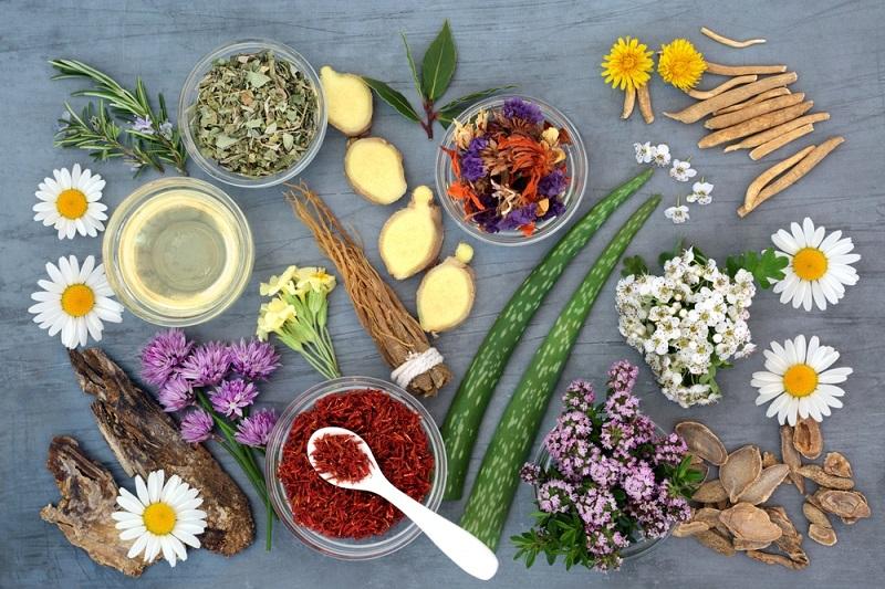 11 Best Home Remedies to Soothe & Heal Swollen Gums Naturally