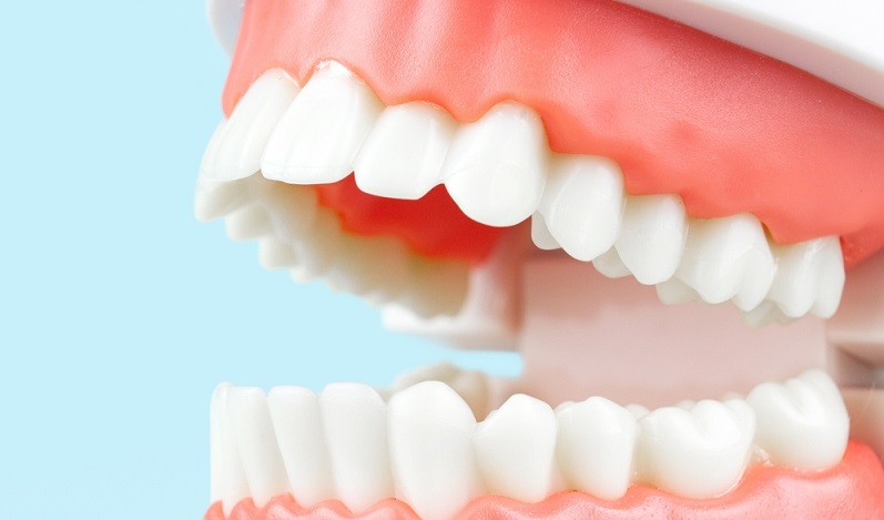 upper bone jaw functions pain