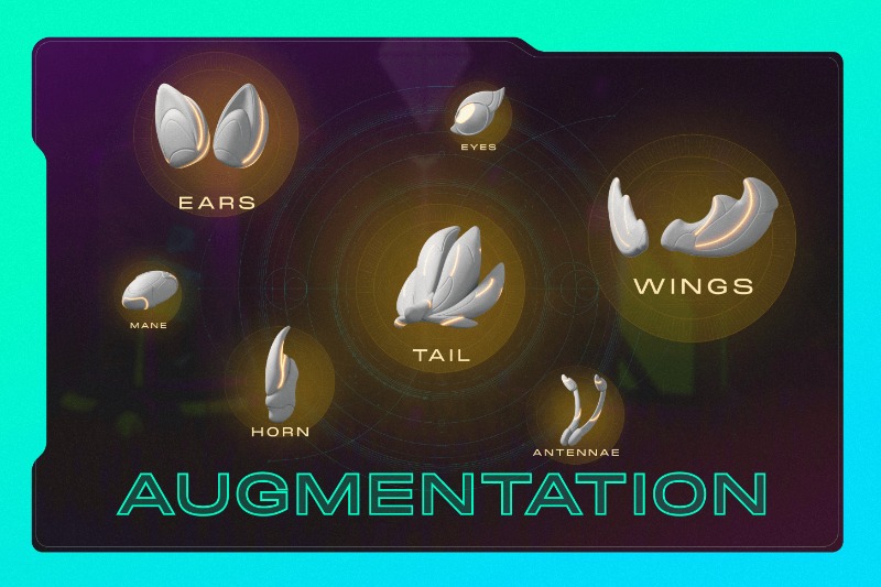 Nailing Your Look & Rarity With Augmentation