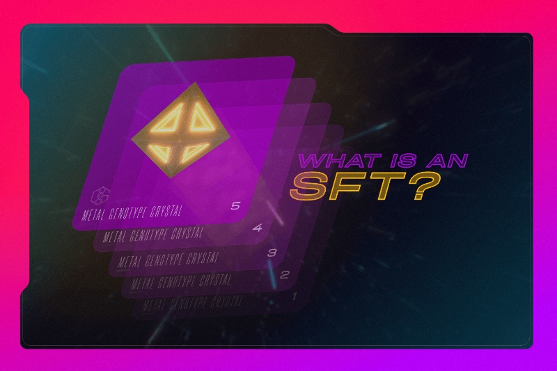 What in the Genoverse is an SFT?
