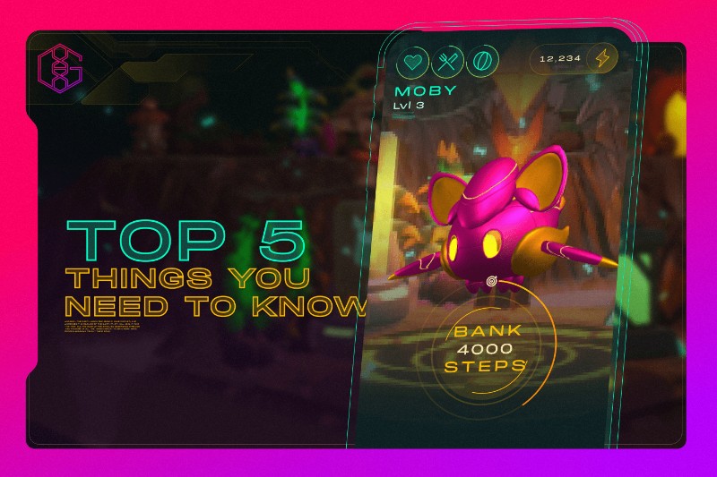 Top 5 Things You Need To Know About Genopets