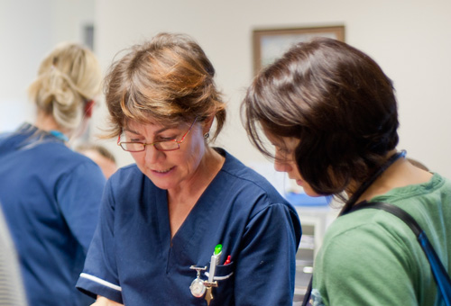 The Edge GCC Nurses Bring to New Zealand