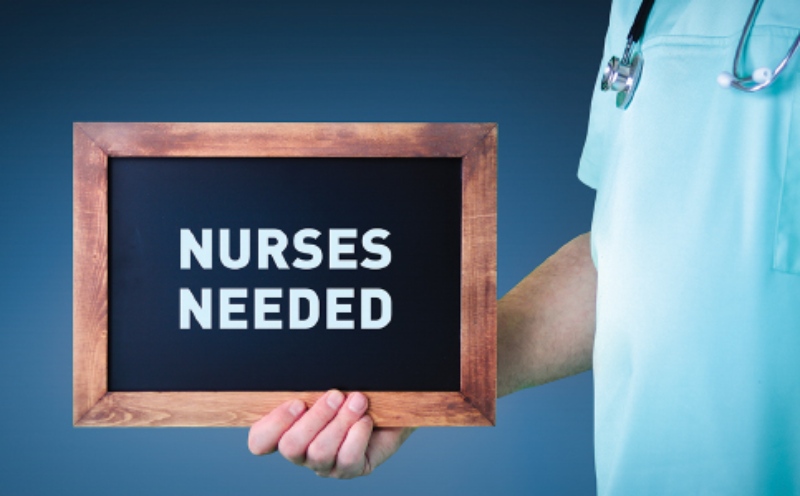 <strong/> The Nursing Shortage Challenges and Solutions for Meeting the Growing Demand