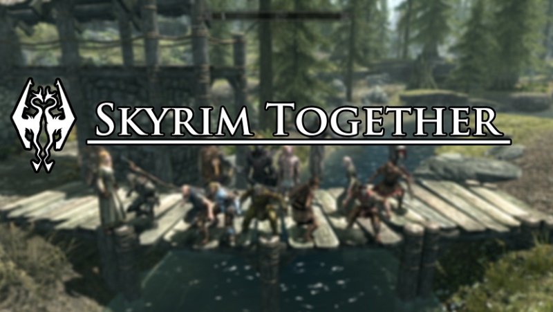 Skyrim Builds for your Skyrim Together Party