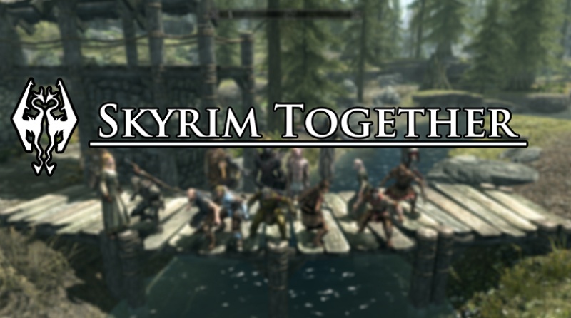 A Beginner's Guide to Skyrim's Playable Races