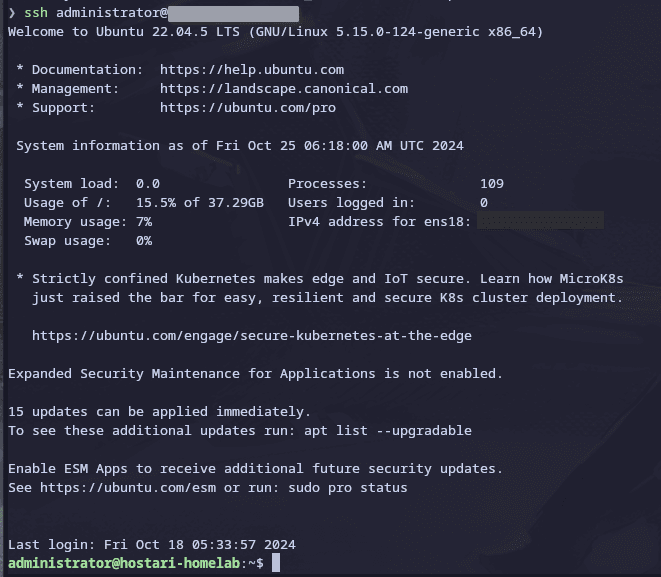 If you did everything correctly, your terminal prompt should clearly show that you're logged in to your server.