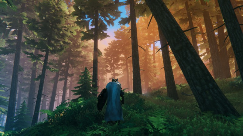 Exploring Valheim: A Comprehensive Guide to the Biomes