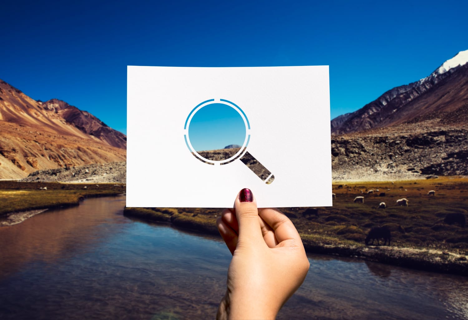 Top 5 Platforms Offering the Best AI for Image Search