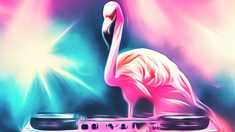 flamingo djing at an event