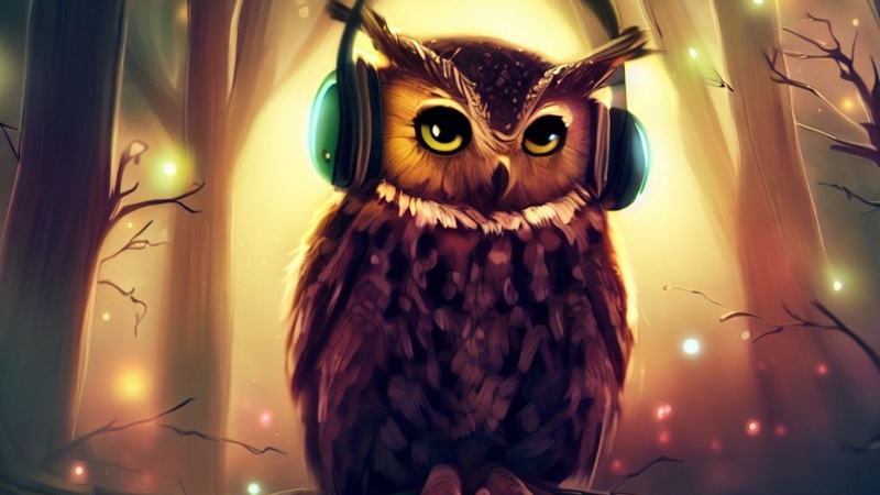 owl wearing headphones