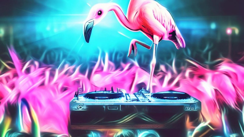 DJ flamingo performing on stage live crowd