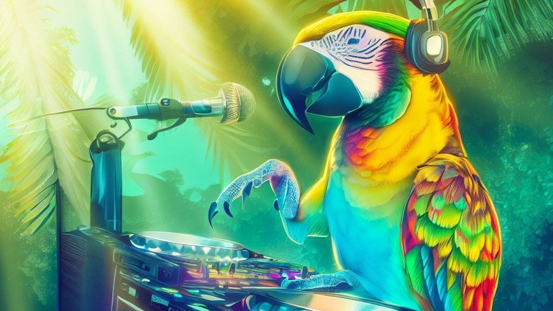 Parrot playing on the DJ set