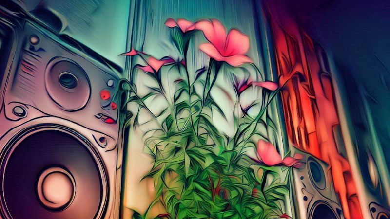 flowers growing on speakers