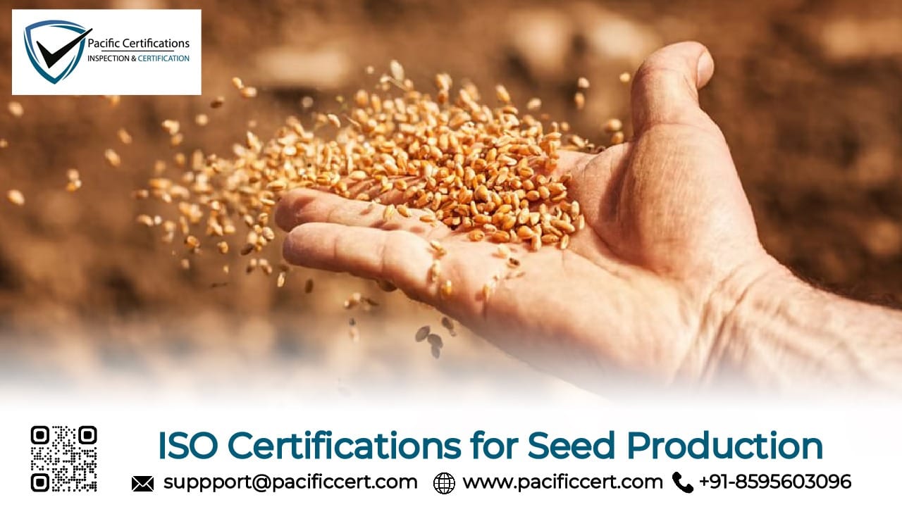 ISO Certifications for Seed Production Businesses, Requirements and Benefits