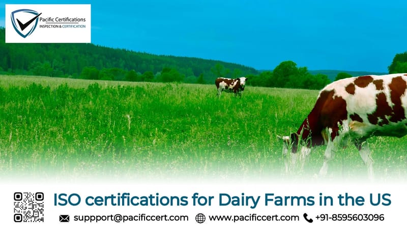 ISO Certifications for Dairy Farms in the US, Requirements and Benefits 