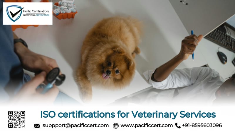 ISO Certifications for Veterinary Services, Requirements and Benefits 