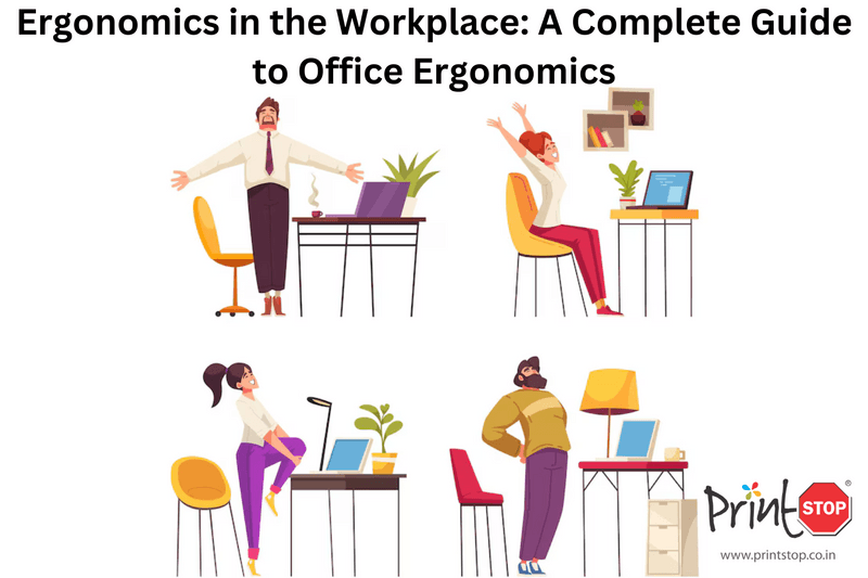 Ergonomics in the Workplace: A Complete Guide to Office Ergonomics