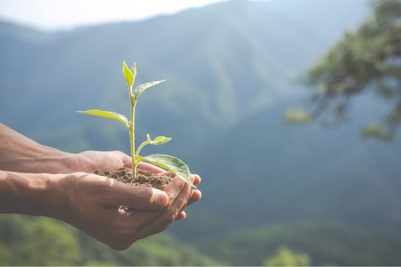 25 Sustainable/Eco-Friendly Corporate Gifting Ideas