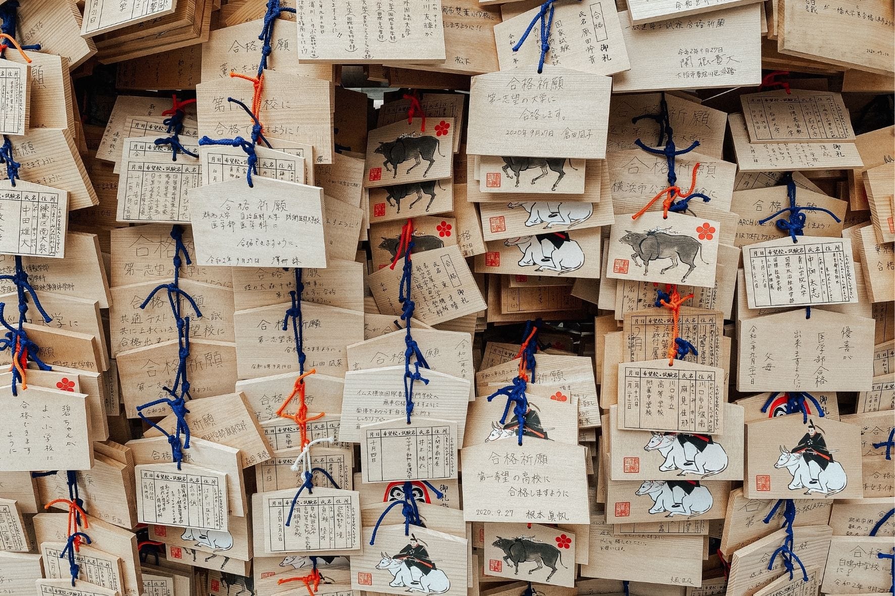 Wish wall image 
