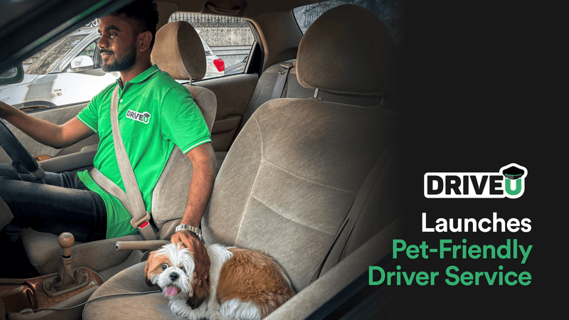 DriveU Launches Pet-Friendly Driver Service & Promotes Pet Adoption
