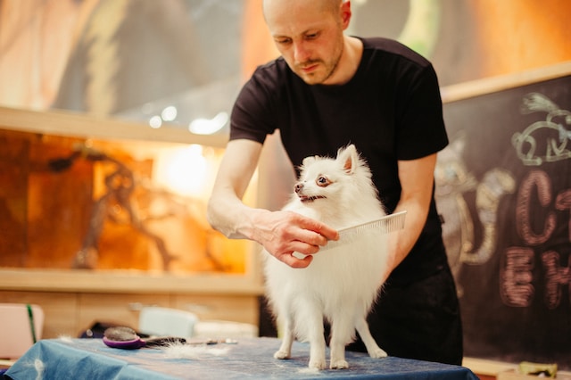 What factors should be considered when opening a pet grooming salon?