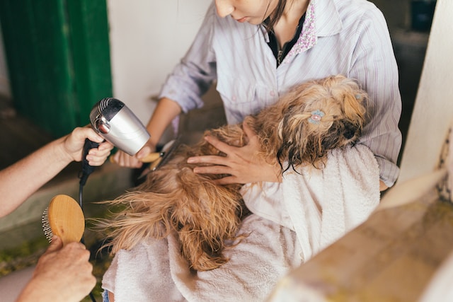 What are the best practices for handling difficult pets in grooming salons?