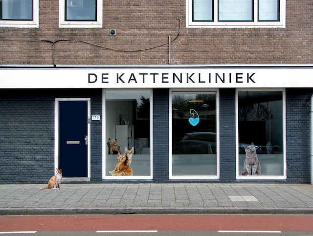 What are the essential steps to establishing a successful veterinary clinic?