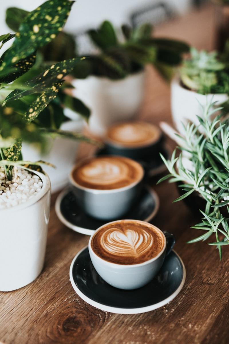 What regulatory hurdles do cafes face, and how to overcome them?
