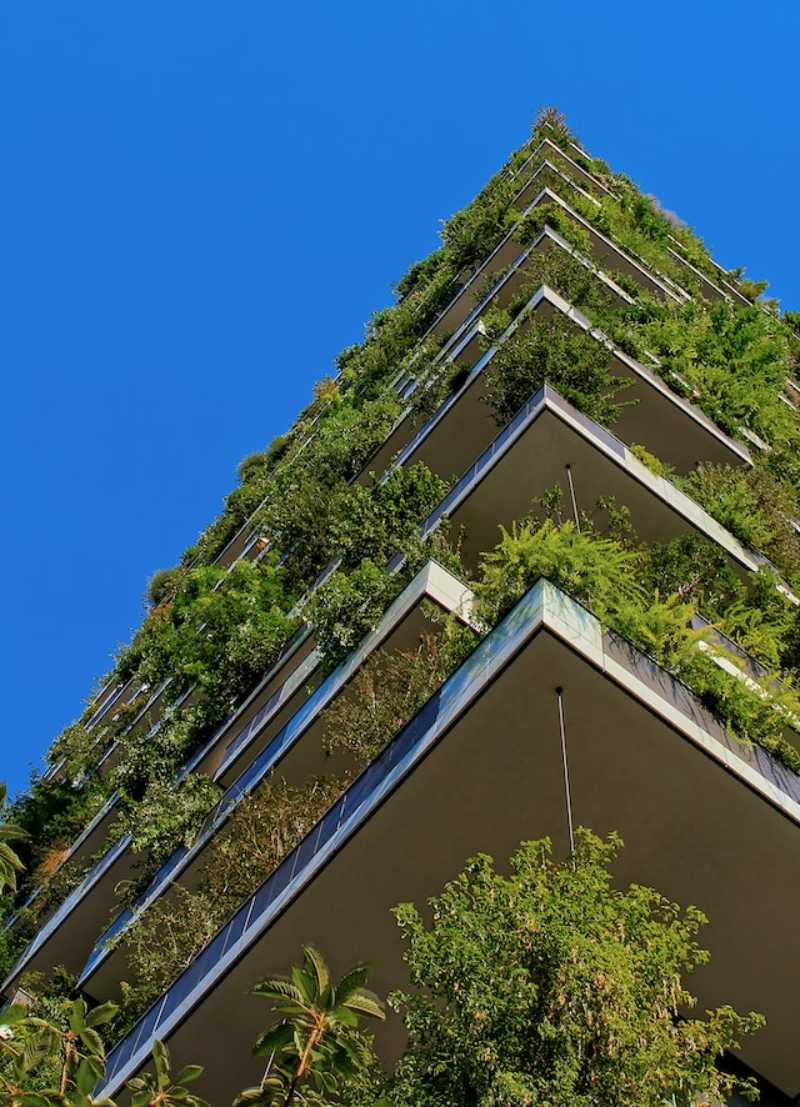 How to implement sustainable practices in your business