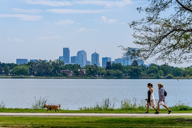 What are the legal considerations for dog walkers?