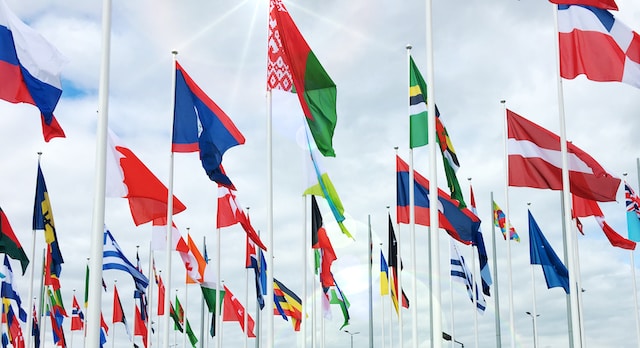 How can alternative medicine businesses successfully expand abroad?