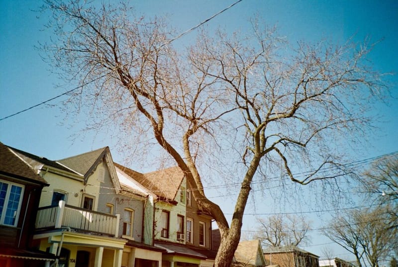 houses in Canada