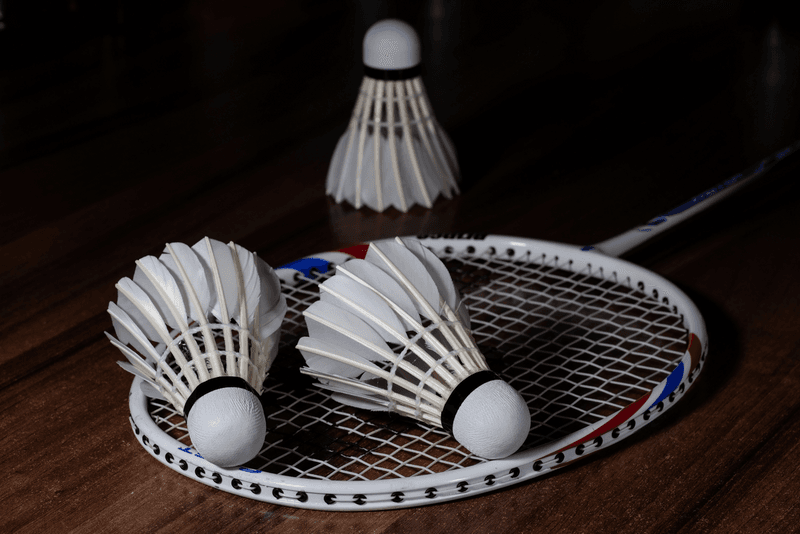 Choosing the Right Types of Shuttlecock | Turf Town