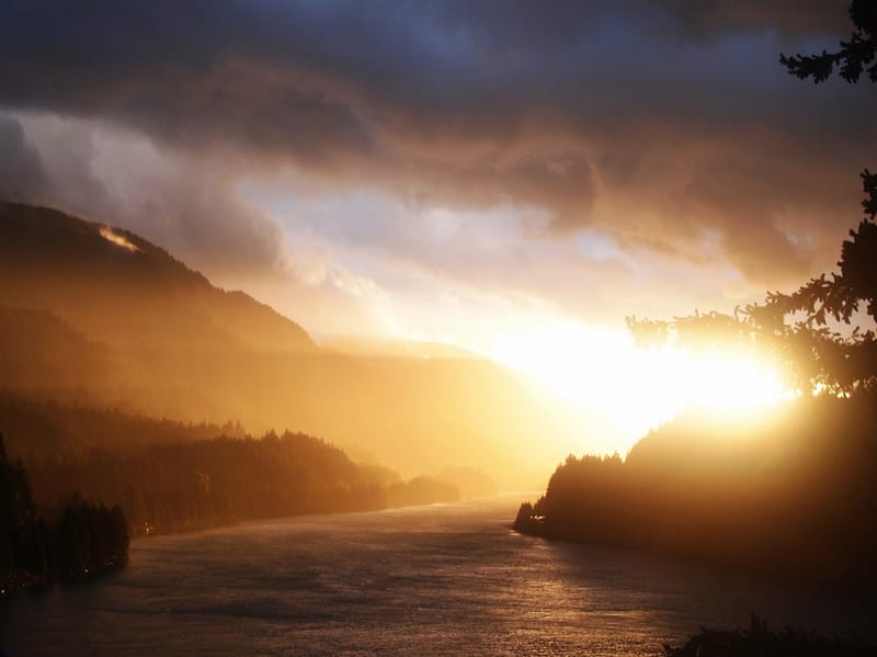 FogLight